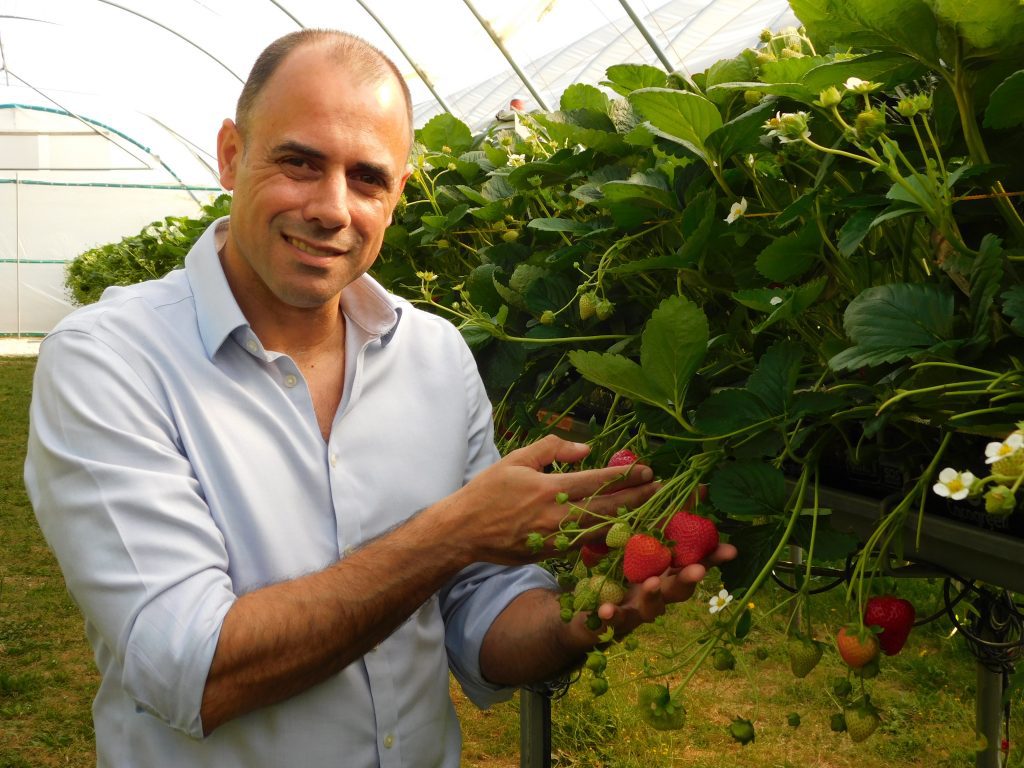 Professor Mario Caccamo, Managing Director at NIAB EMR